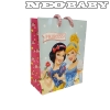 QX  dsztasak 12x15 Disney Princess 349342